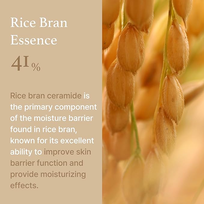 I'M FROM RICE CREAM 50g 1.76oz. 아임프롬 라이스 크림 50g 1.76oz.