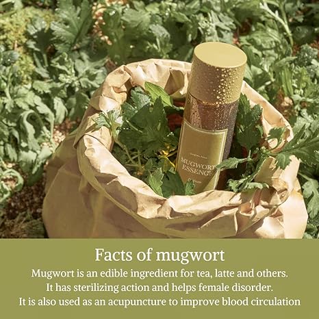 I'M FROM MUGWORT ESSENCE 160ml 5.41fl.oz. 아임프롬 머그워트 에센스 160ml 5.41fl.oz.