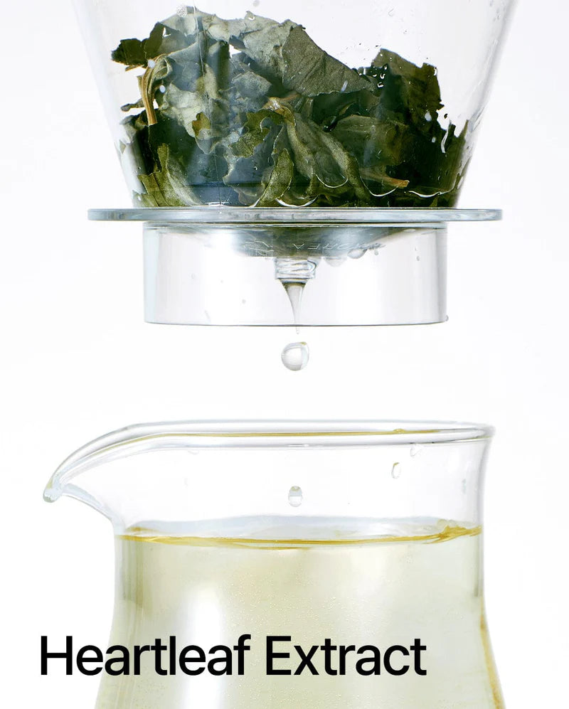 ANUA HEARTLEAF 80% AMPOULE 30ml 아누아 어성초 80 수분 진정 앰플 30ml