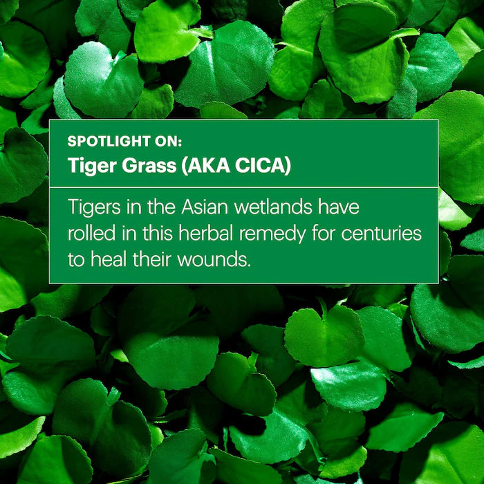 Dr. Jart+ CICAPAIR™ TIGER GRASS COLOR CORRECTING TREATMENT SPF30 닥터자르트 시카페어™ 타이거 그래스 컬러 코렉팅 트리트먼트