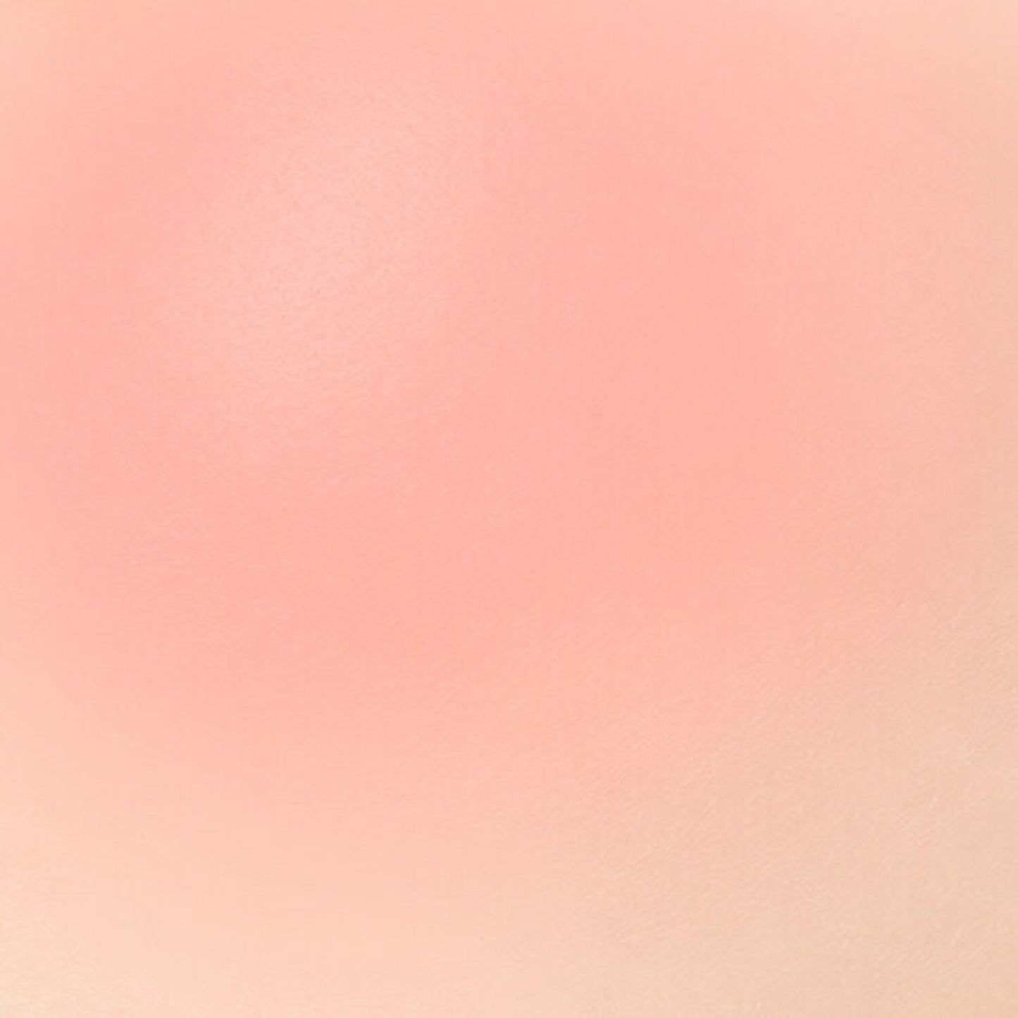 ***CLEARANCE fwee BLUSHER MELLOW ver. 4 COLOR / 퓌 블러셔 멜로우 4종