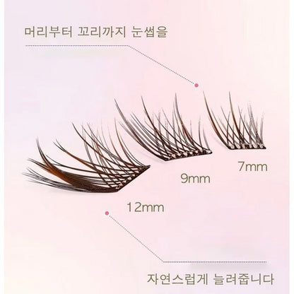 AMILIM Natural No Glue Cluster Eyelashes Transparent Line Brown Reusable Bulk 11mm Lightweight Fox-Eye Extension Effect Natural Fox-Eye Look 애미림 노글루 가닥손눈썹 투명 브라운 11mm 여우디자인 여우속눈썹 속눈썹 대용량 재사용 가능