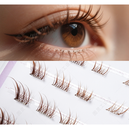 AMILIM Natural No Glue Cluster Eyelashes Transparent Line Brown Reusable Bulk 11mm Lightweight Fox-Eye Extension Effect Natural Fox-Eye Look 애미림 노글루 가닥손눈썹 투명 브라운 11mm 여우디자인 여우속눈썹 속눈썹 대용량 재사용 가능