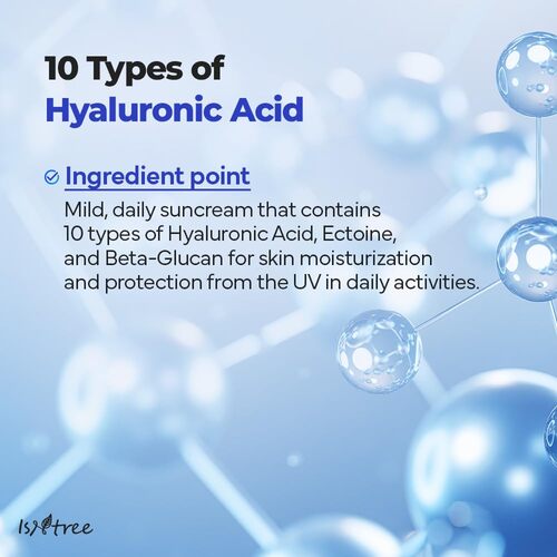 ISNTREE Hyaluronic Acid Daily Sun Gel SPF30 PA+++ 50ml 이즈앤트리 히알루론산 데일리 선젤 SPF30 PA+++ 50ml