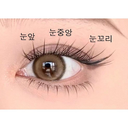 AMILIM Natural No Glue Cluster Eyelashes Brown Reusable Bulk 11mm Lightweight Fox-Eye Extension Effect 애미림 노글루 가닥손눈썹 브라운 11mm 여우디자인 여우속눈썹 속눈썹 대용량 재사용 가능