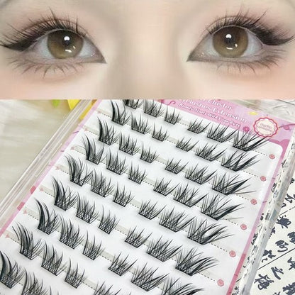 AMILIM No Glue Cluster Eyelashes Reusable Bulk 애미림 노글루 가닥손눈썹 여우디자인 대용량 재사용 가능